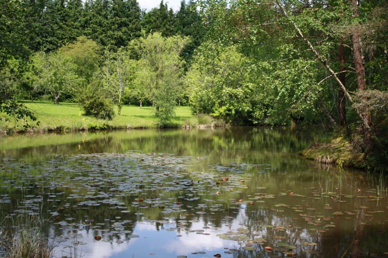 Spruce Lake Sauviat-sur-Vige Eksteriør billede