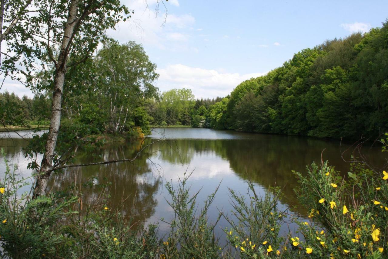 Spruce Lake Sauviat-sur-Vige Eksteriør billede